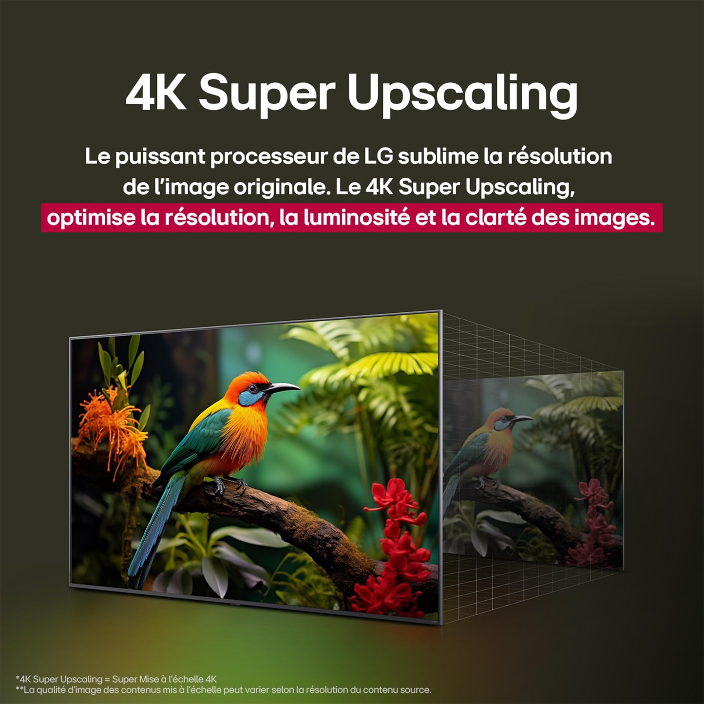 LG TV QNED AI 2025 | 43QNED8E | 43'' (108cm) | 4K UHD | HDR10 | webOS 25 | Télécommade AI Magic Remote | Alexa, Google Assistant | Netflix Disney+ CANAL+ Prime Video | AirPlay 2 | Luminosité éclatante