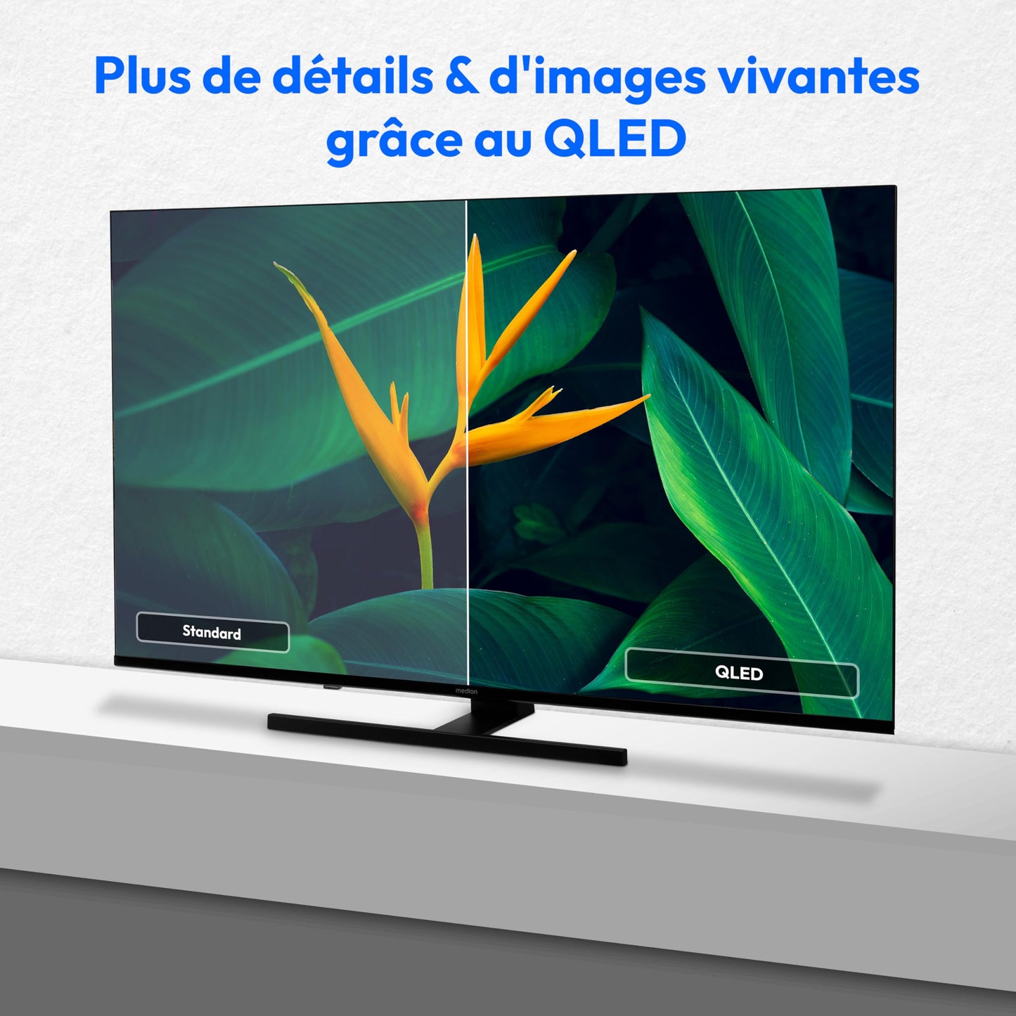 MEDION TV 55 Pouces (138,8 cm) QLED Television (Smart TV, 4K, Dolby Vision HDR, Prime Video, Disney+, Dolby Atmos, DTS X, Compatible avec Google TV, P